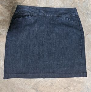 Stretch Denim Skort